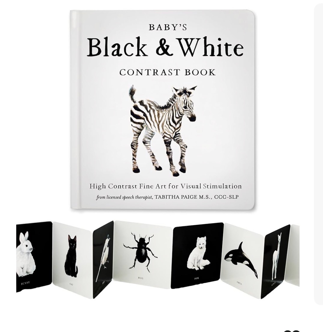 High-Contrast Picture Books (Bold, Simple Images)